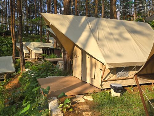 Glamping Gold