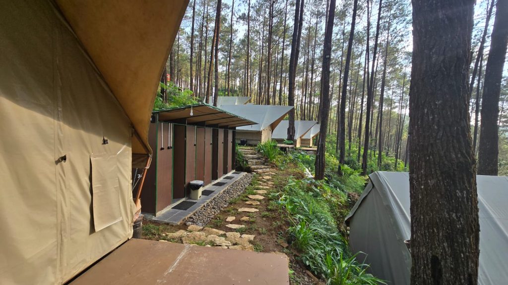 Spot Foto Pinus Jogja