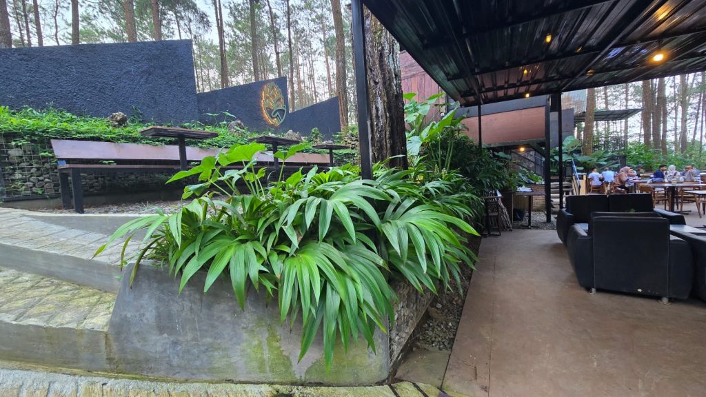 Cafe Pinus Menoreh Jadi Destinasi Wisata Kuliner yang Instagramable
