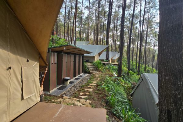 Spot Foto Pinus Jogja
